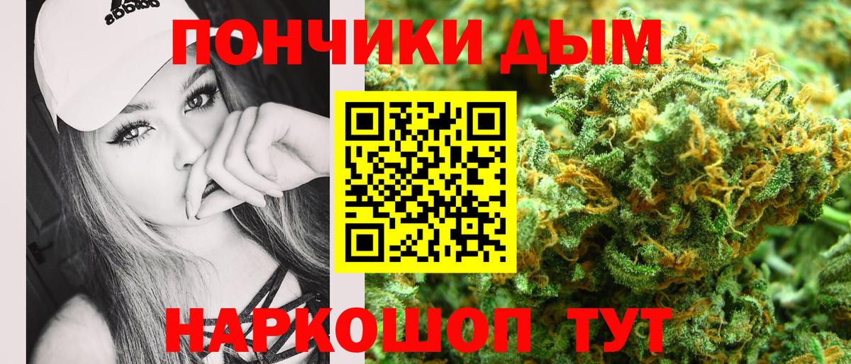 Канабис сатива Кисловодск